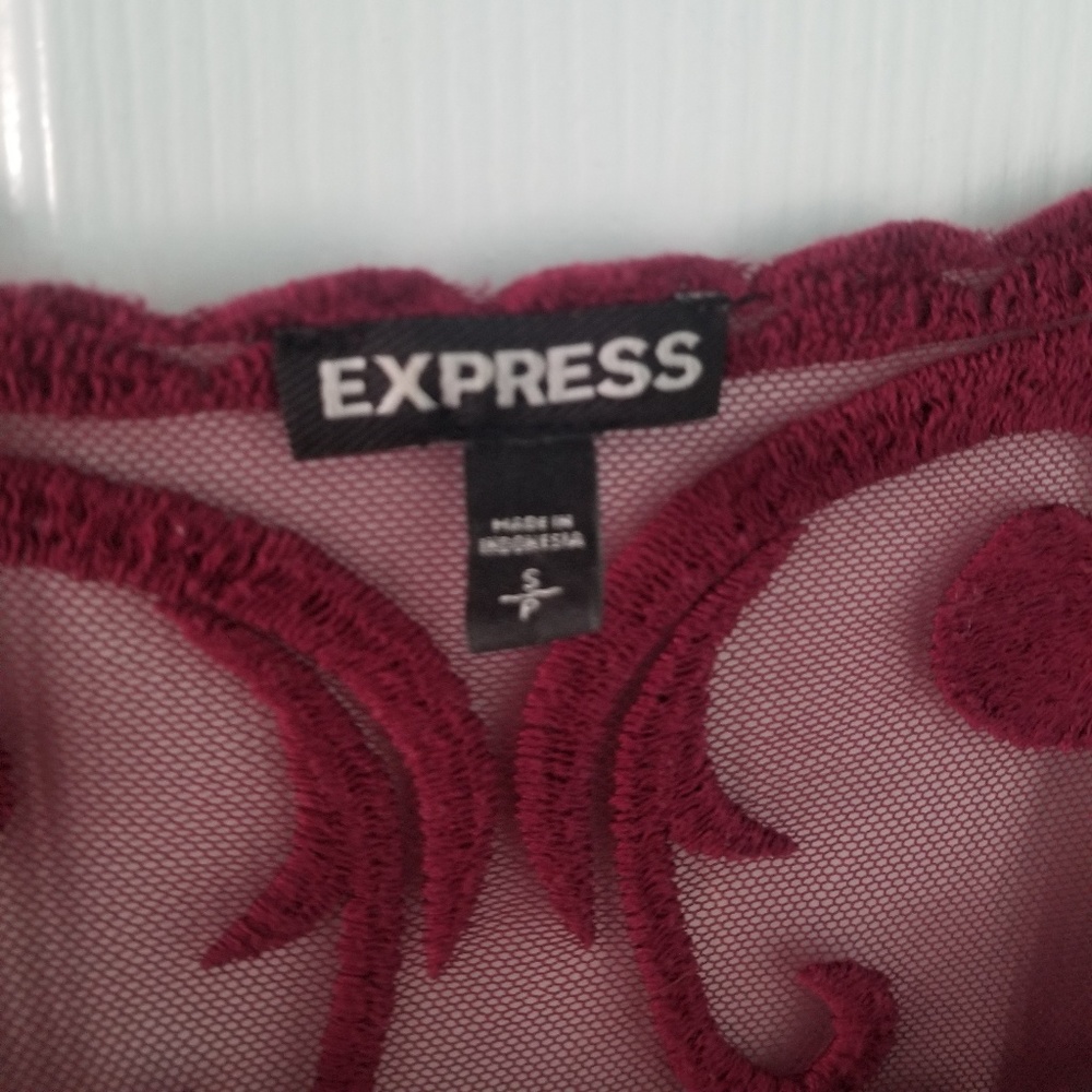Express Embroided Lace Mesh Top - Picture 3 of 5